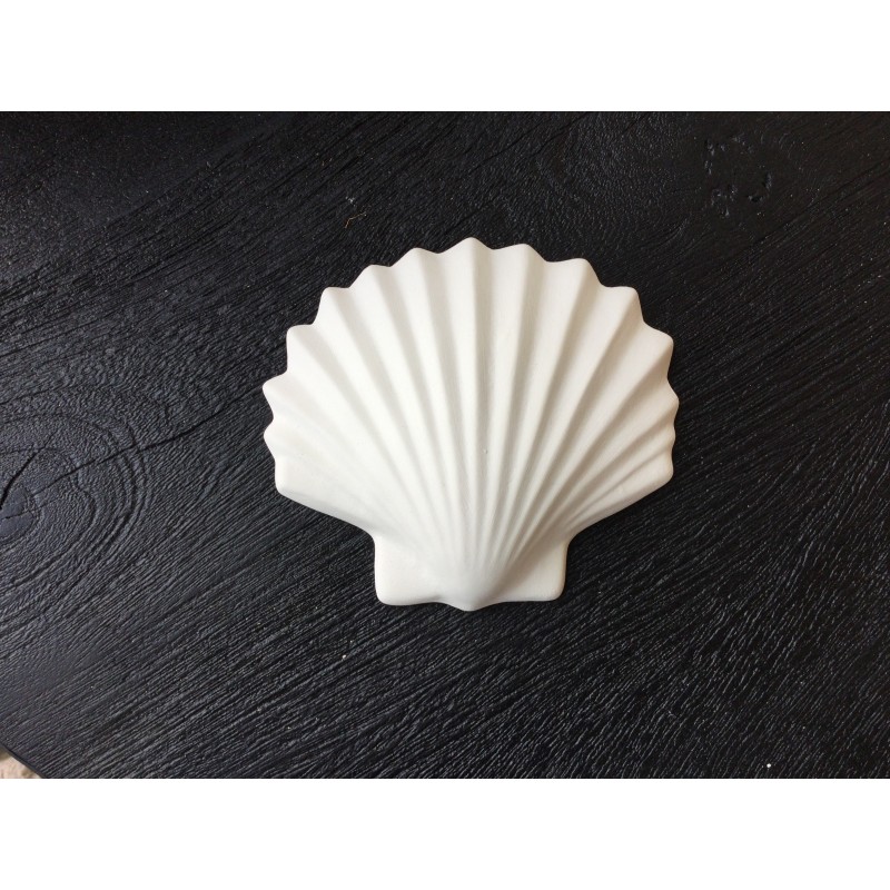 Calypso pm blanc
