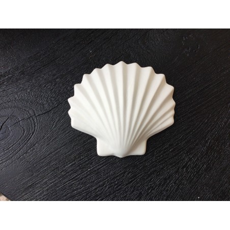 Calypso pm blanc