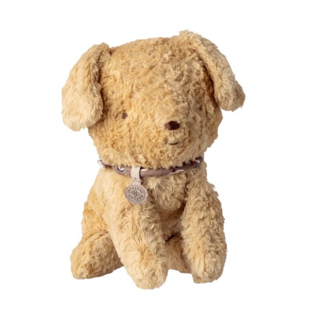 Chiot bébé sable