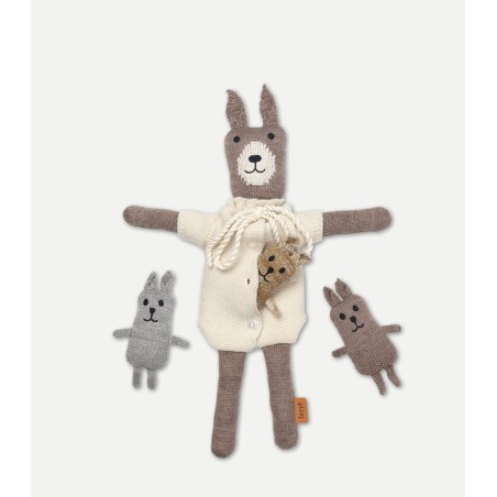 Famille lapin lee merino