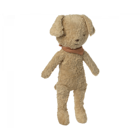 Chien
