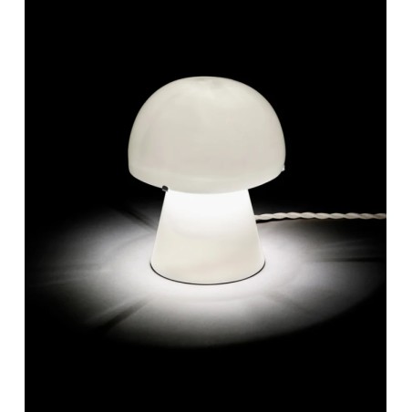Lamp joe 1