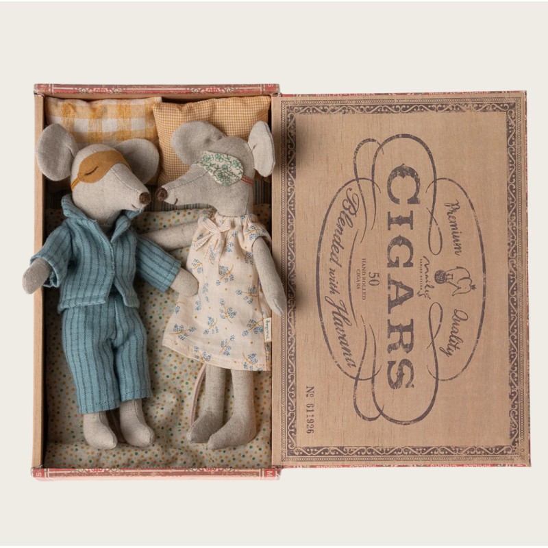 Maman et papa dans leur boite à souris